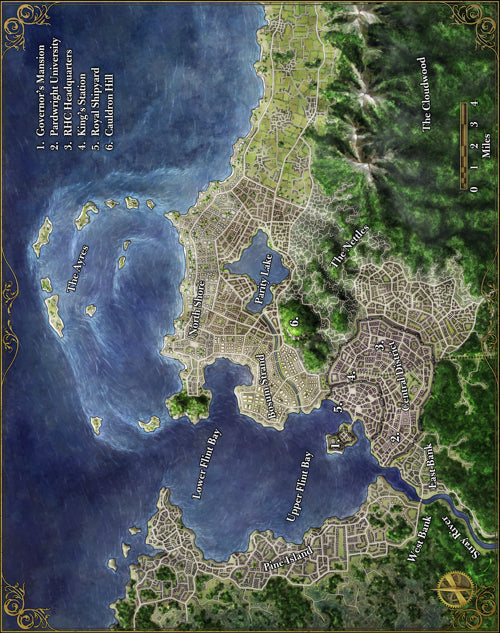 ZEITGEIST: City of Flint Poster Map (4190659838061)