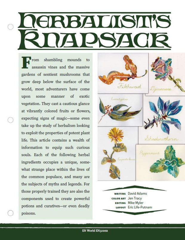 Herbalist's Knapsack (D&D 5e)