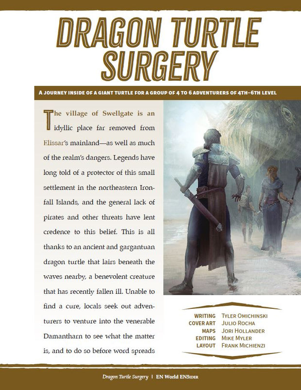 Adventure: Dragon Turtle Surgery (D&D 5e)