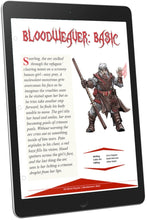 Load image into Gallery viewer, Bloodweaver: Basic Class Information (D&amp;D 5e)