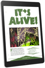 Load image into Gallery viewer, It&#39;s Alive! (D&amp;D 5e)