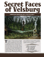 Load image into Gallery viewer, Secret Faces of Velsburg (WOIN)