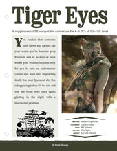 Load image into Gallery viewer, Mini-Adventure: Tiger Eyes (D&amp;D 5e)